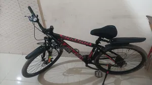 Bicycle for sale