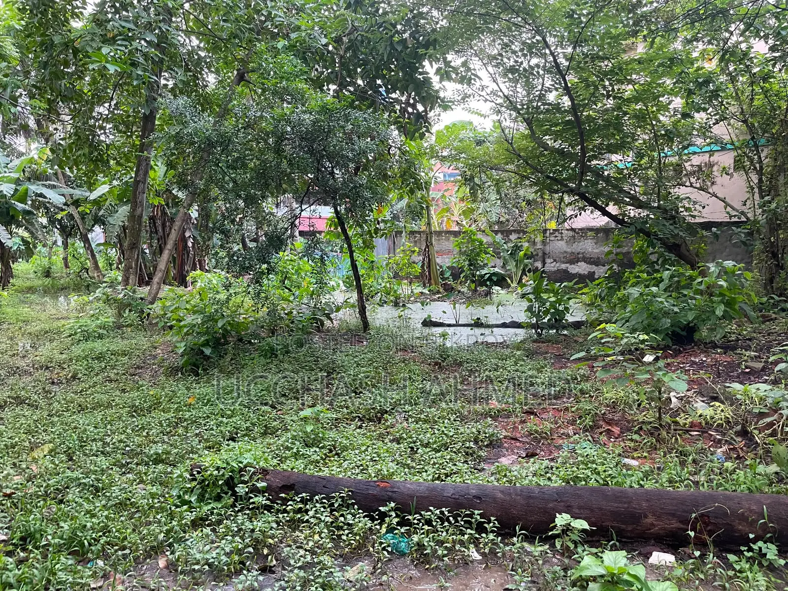 8 Katha Land for Sale - T.B. Cross Road