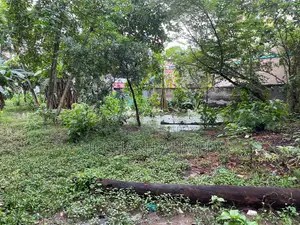 8 Katha Land for Sale - T.B. Cross Road