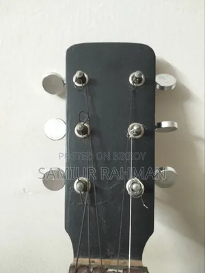 Hawaiian Style Guitar