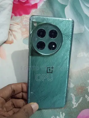 OnePlus 12 256 GB Green