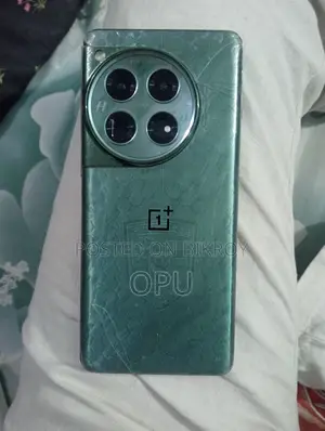 OnePlus 12 256 GB Green
