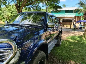 টয়োটা হিলাক্স ১৯৯৫ নীল
