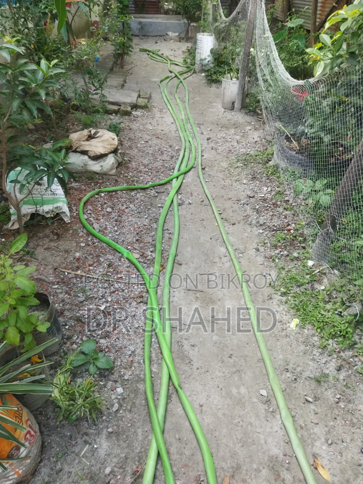 Water Pipe Plumbing