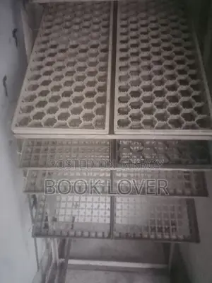 1000 ডিমের ইনকিউবেটর মেশিন