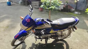 Hero Passion Pro 2001 Blue
