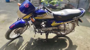 Hero Passion Pro 2001 Blue