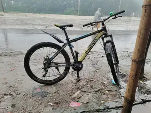 Gear Phoenix Cycle