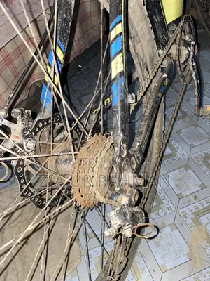 Gear Phoenix Cycle