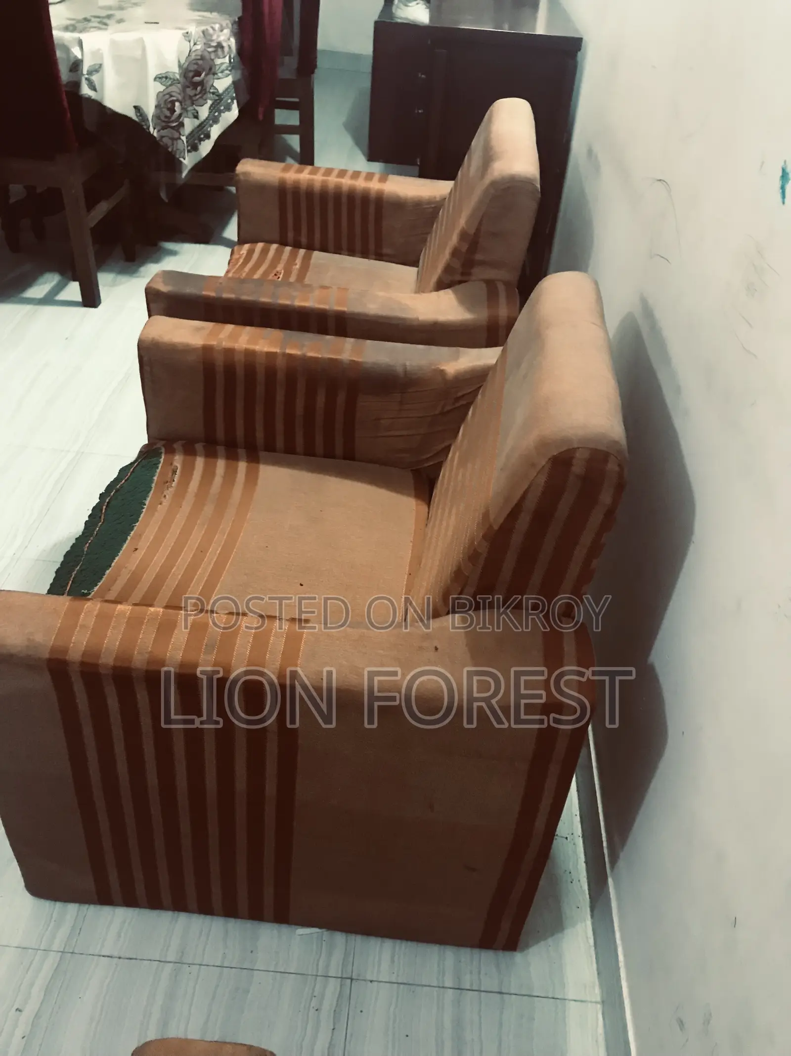 হোম এসেনশিয়াল আইটেম ( সোফা )