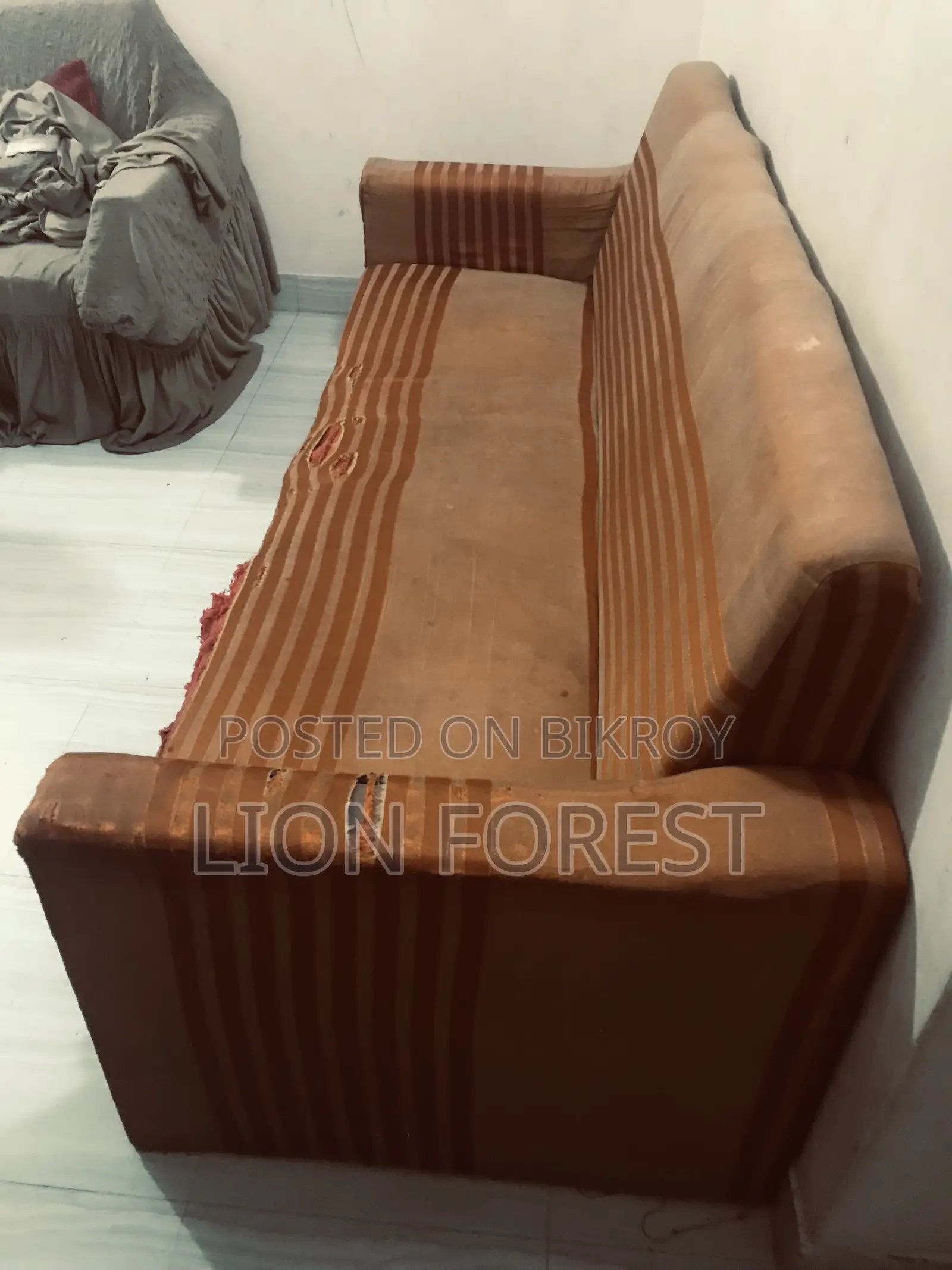 হোম এসেনশিয়াল আইটেম ( সোফা )