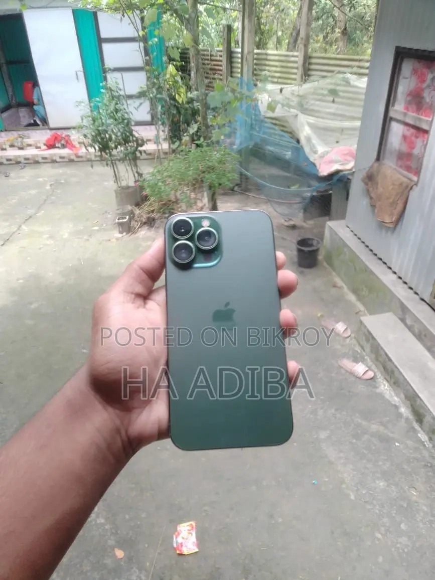 Apple iPhone 13 Pro Max 256 GB Green