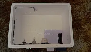 ১০০ ডিমের মেনুয়াল এসি ডিসি ইনকিউবেটর