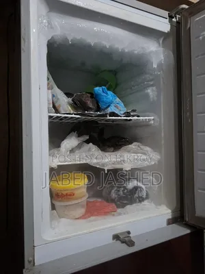 Singer Fridge
