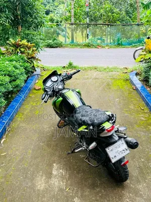 TVS Apache RTR 160 2V 2018 Green