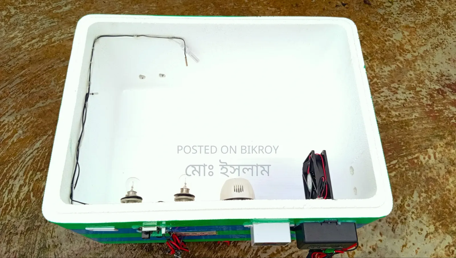 ১০০ ডিমের মেনুয়াল এসি ডিসি ইনকিউবেটর