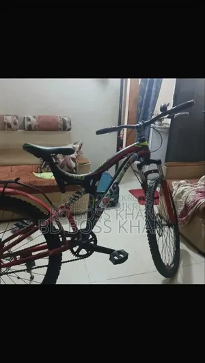 Used Bicycle