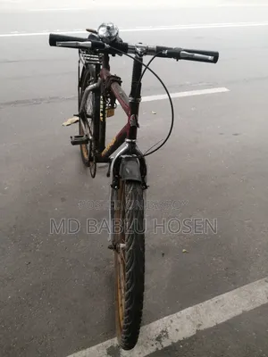 Bicycle Urgent Money Needed