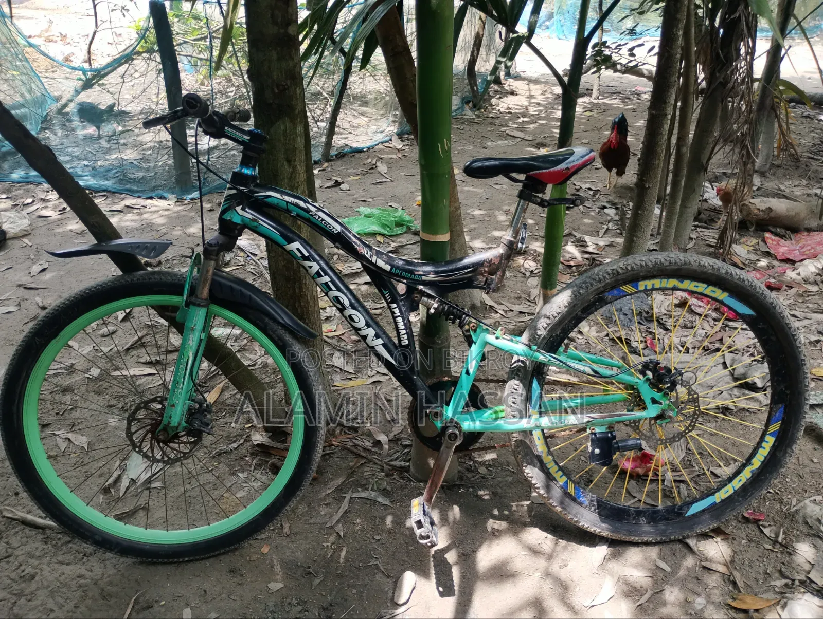 Cycle for sale
