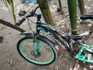 Cycle for sale