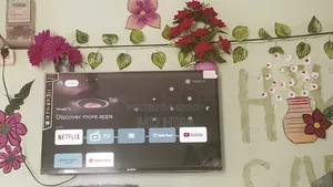 Will sell Mango TV 14500