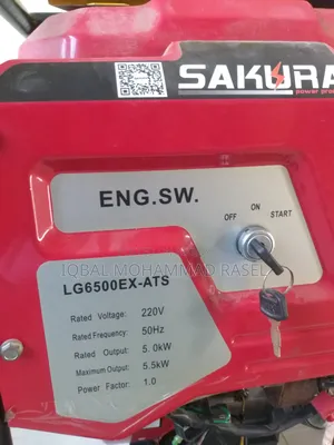 Home Used Petrol Generator