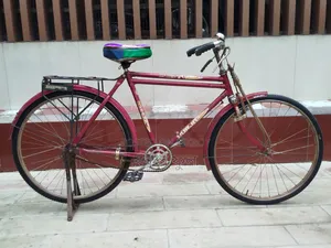 Duranta Cycle for Sell