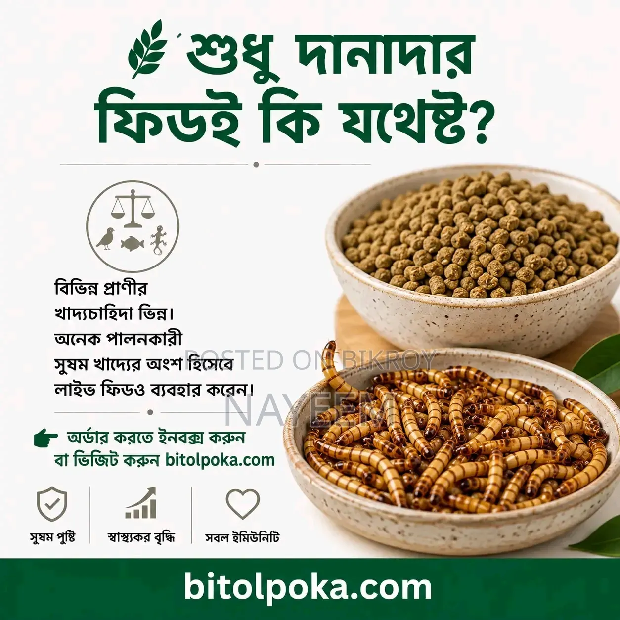 বিটল পোকা বিক্রি