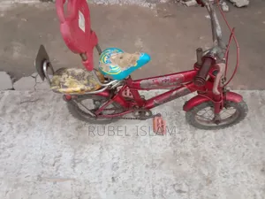 A very good quality bicycle that doesn't need any work.