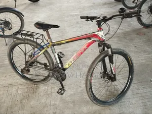 Phoenix Bicycle