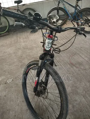 Phoenix Bicycle