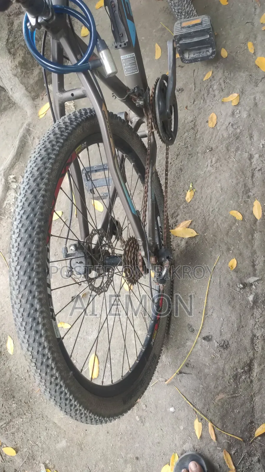 Foxter Bicycle
