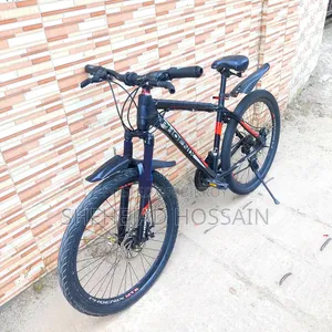 Phoenix Fnix (Size 26) Gear Cycle for sale.