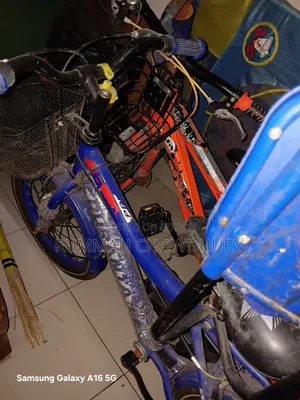 Blue Bi-Cycle
