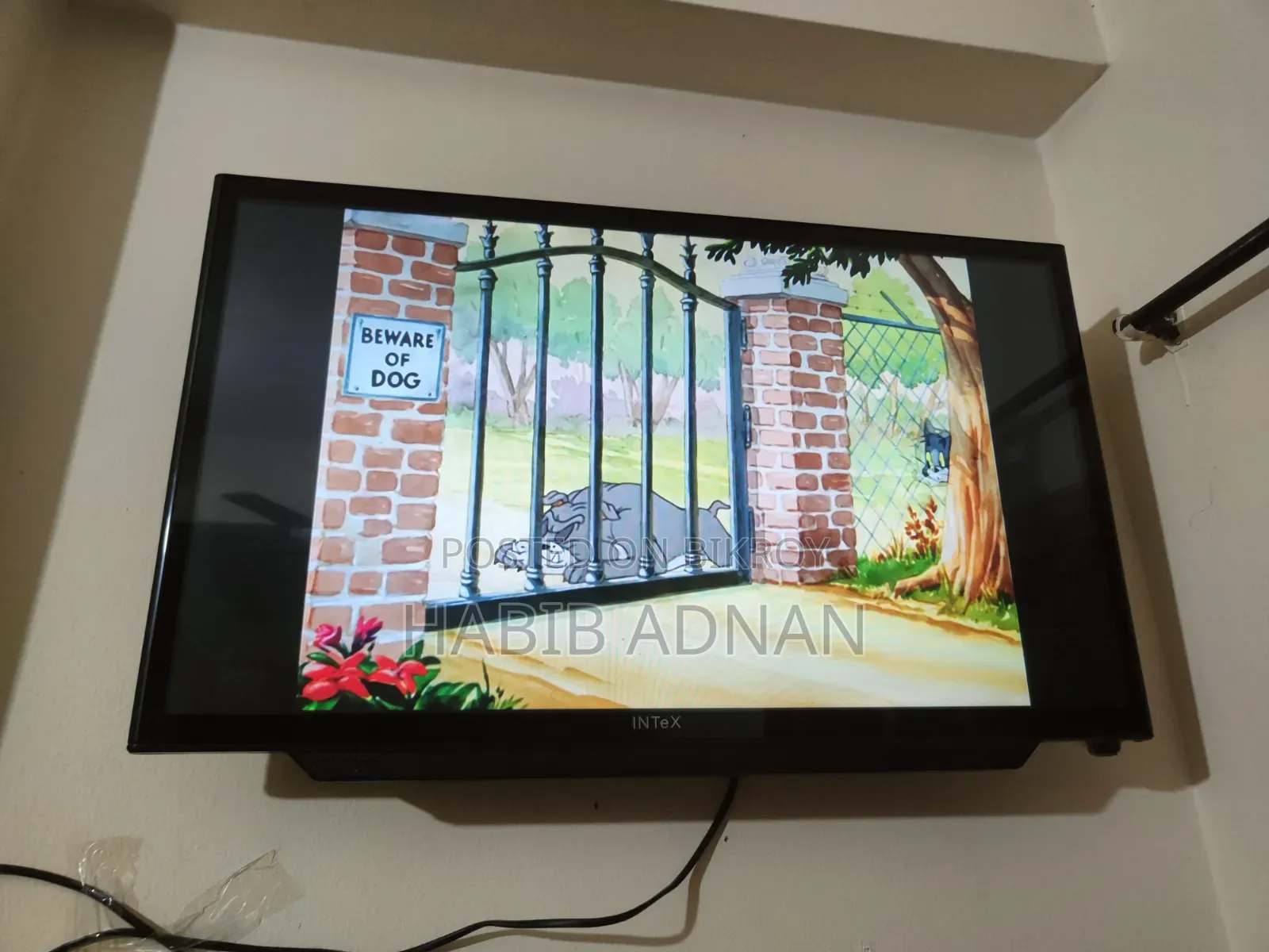 Intex Television