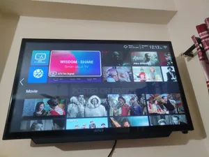 Intex Television