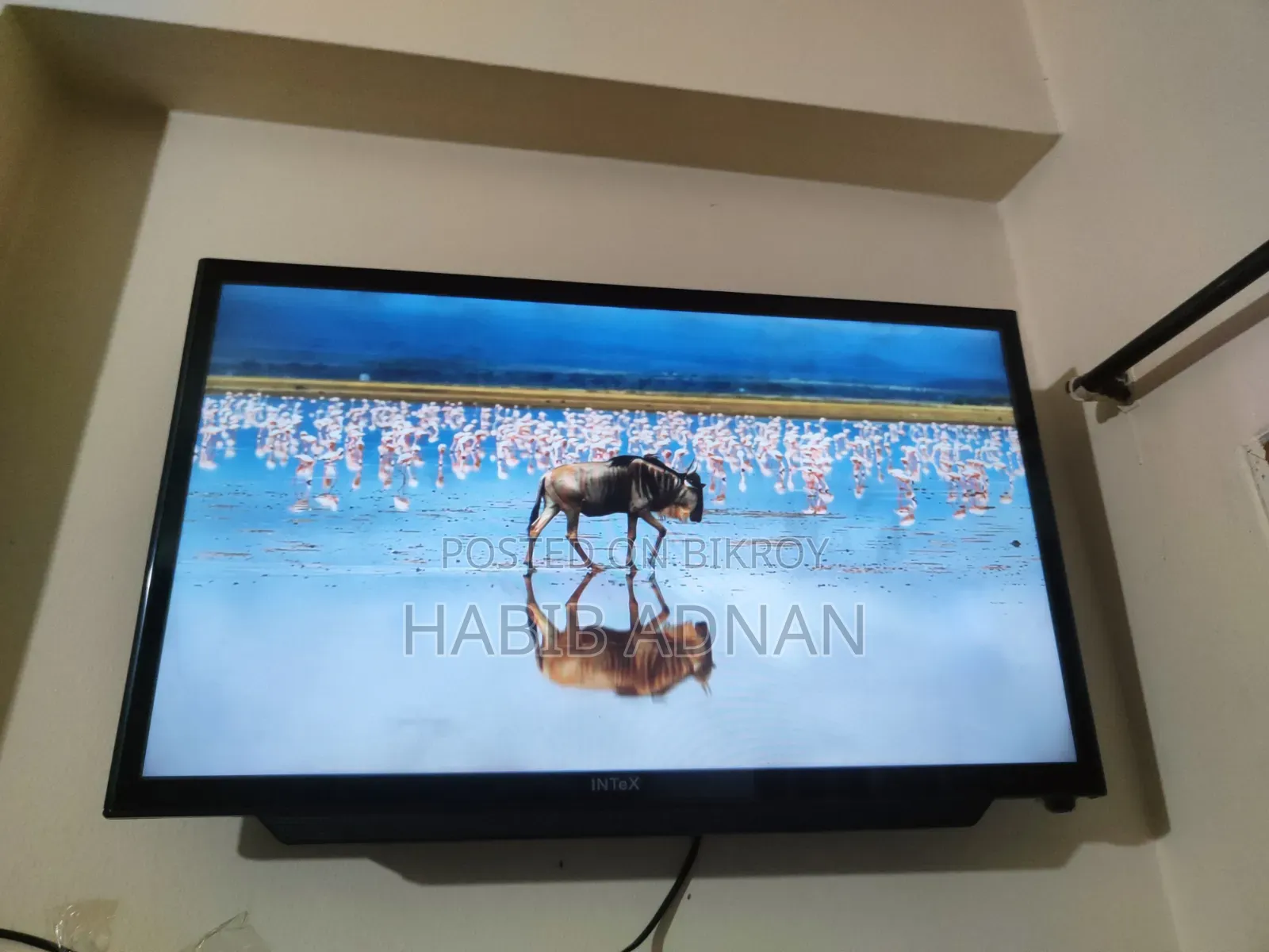 Intex Television