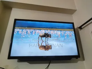 Intex Television