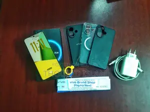 Vivo V60 Lite 4G 256 GB Silver
