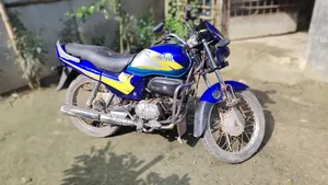 Hero Passion Pro 2001 Blue