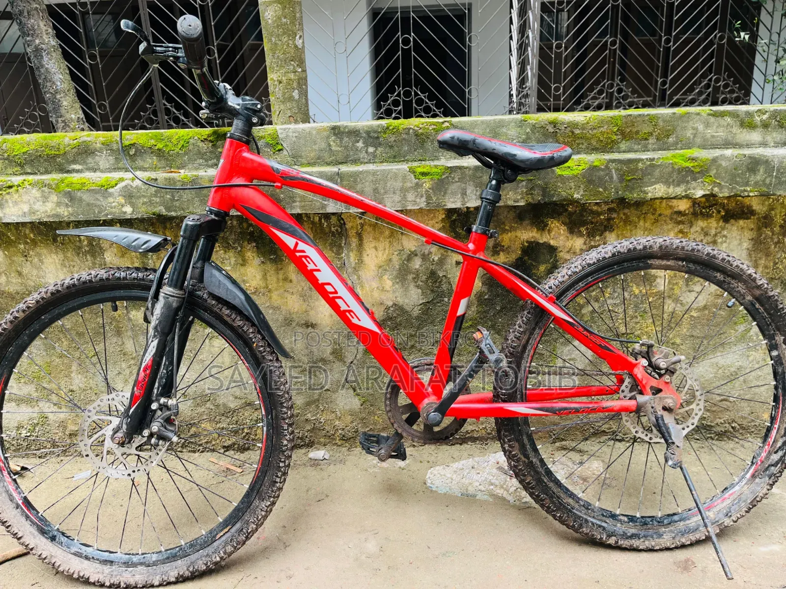 Veloce Junior