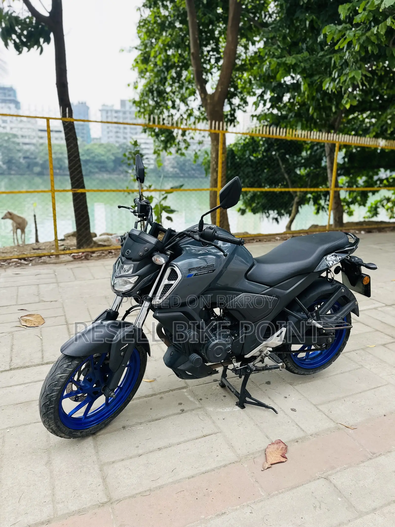 Yamaha FZS V3 2022 Gray