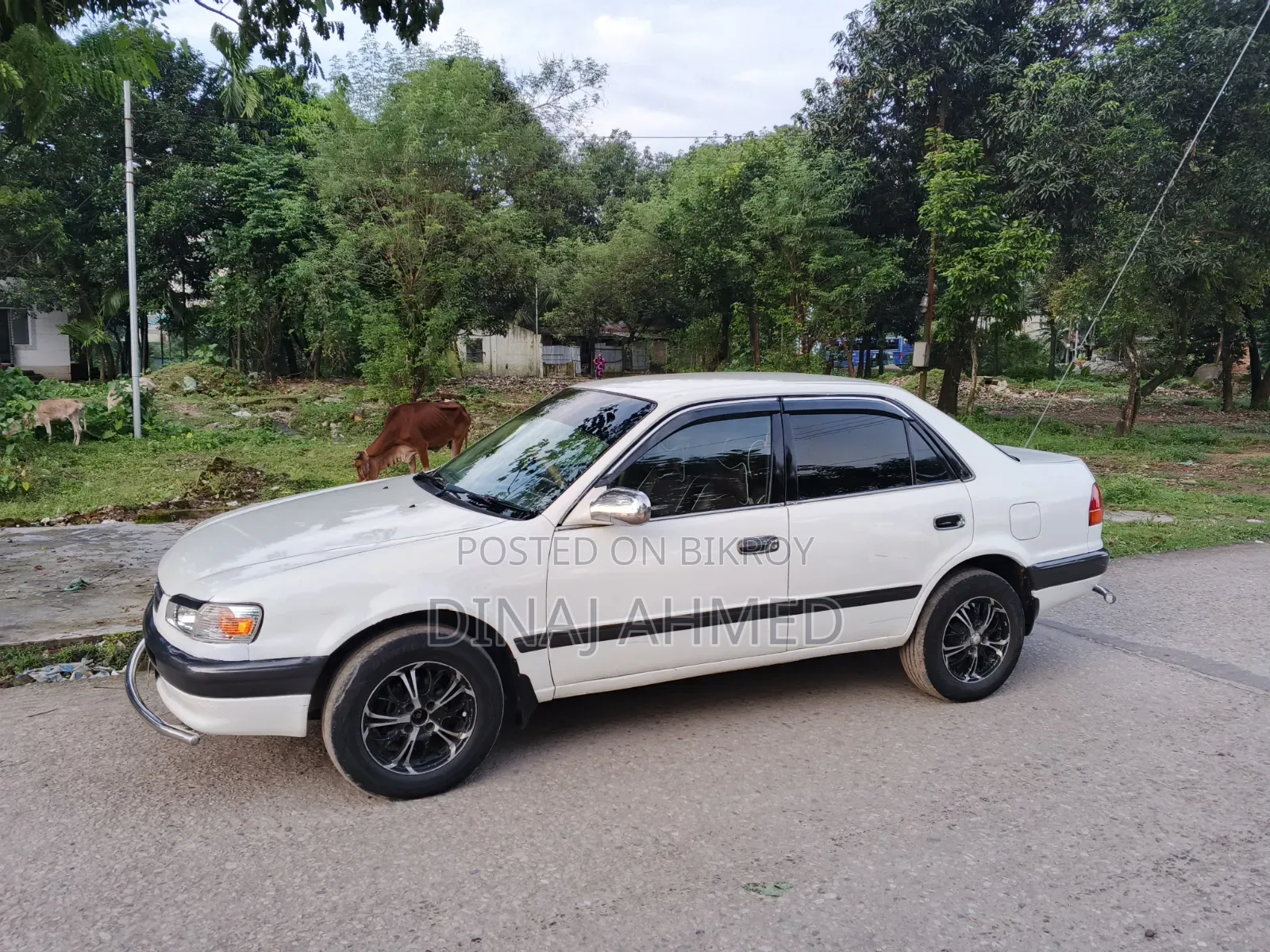 টয়োটা করলা ১৯৯৫ হোয়াইট