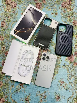 Apple iPhone 16 Pro Max 256 GB Silver