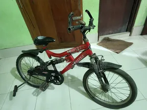 Bicycle for Middle Children
