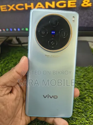 ভিভো এক্স১০০ ২৫৬ জিবি সিলভার