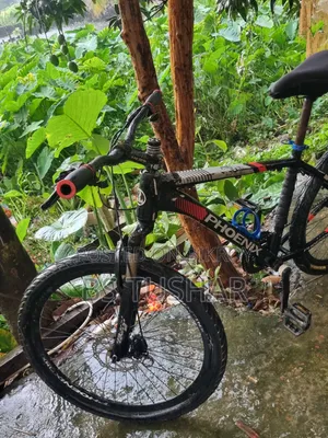 ফনিক্স সাইকেল