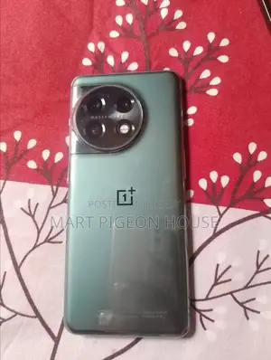 ওয়ানপ্লাস ১১ ২৫৬ জিবি গ্রিন