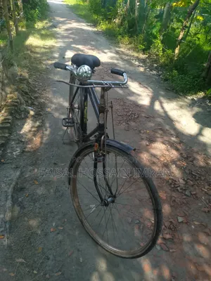 Large Bicycle