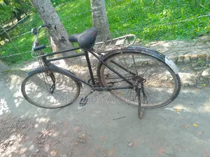 Large Bicycle